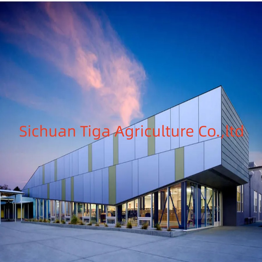 Simple Small Steel Structure Villa Plans Steel Structure Prefabricated Buildings Metal Frame Structure