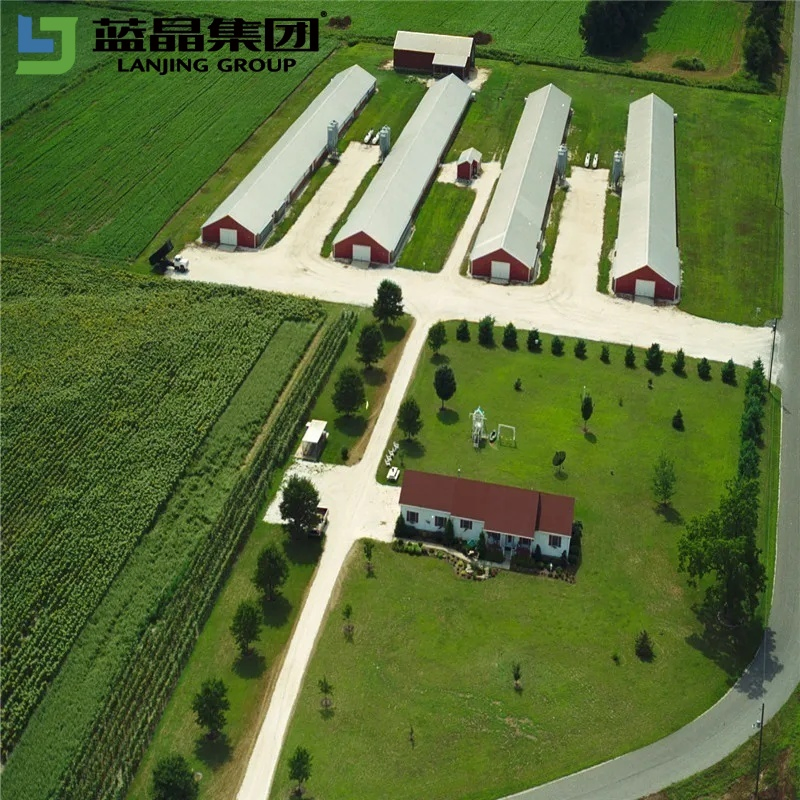 Integrated Design Manufacturers Supply Poultry Shed Farm Building Steel Structure Chicken House