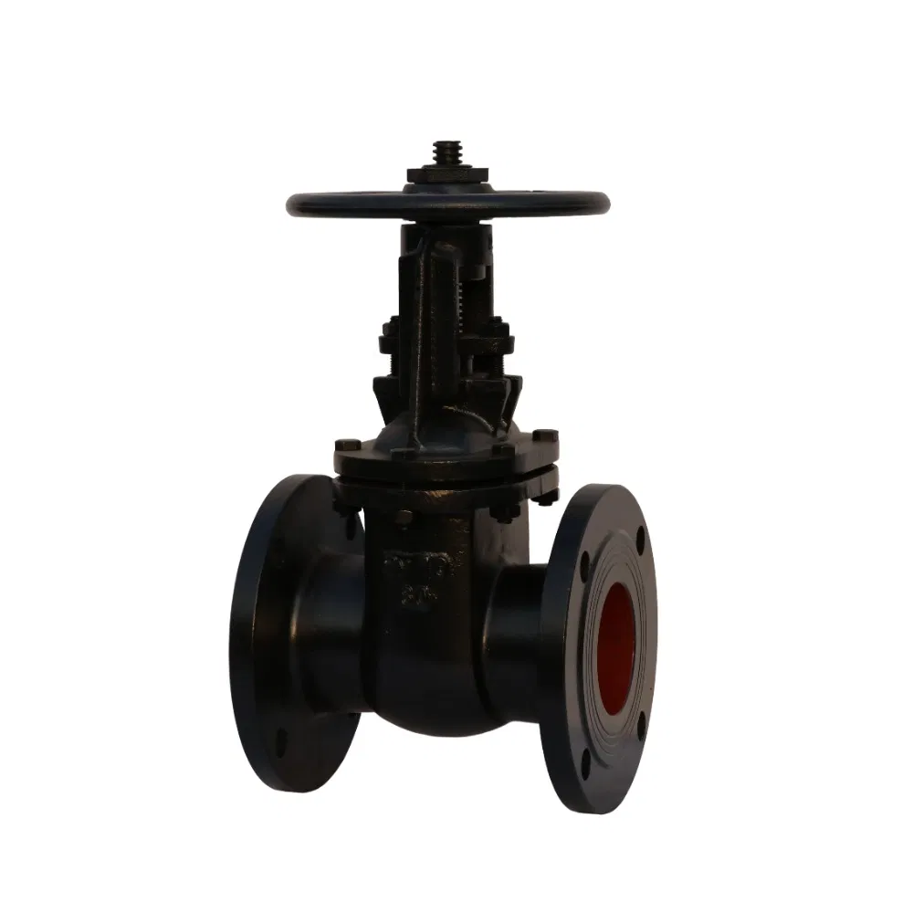 GOST Standard Cast Ductile Double Flanged GOST Parallel Double Discs Gate Valve