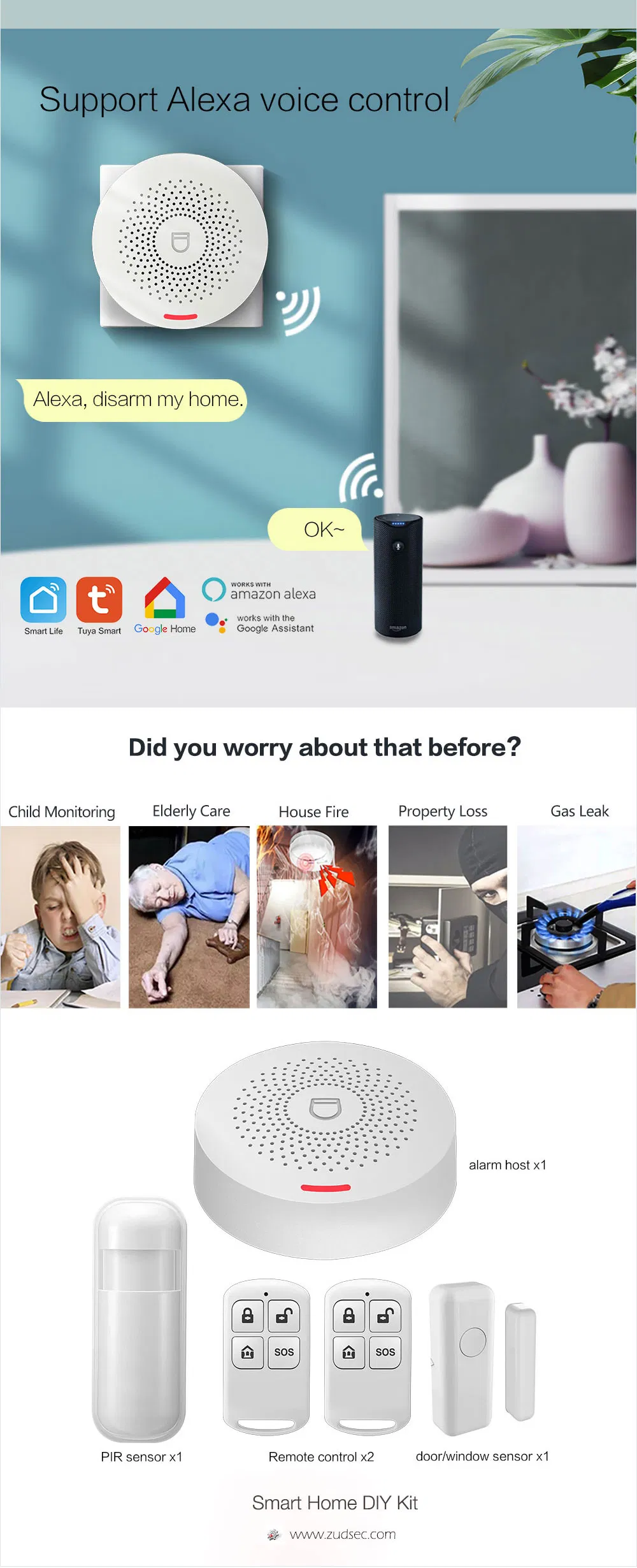 Security System Details