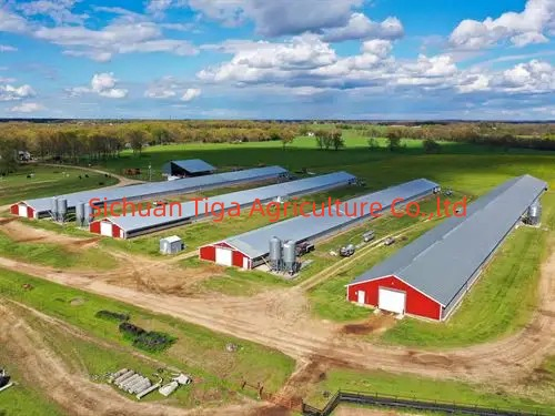 Simple Small Steel Structure Villa Plans Steel Structure Prefabricated Buildings Metal Frame Structure