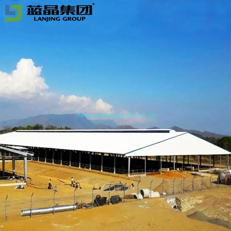 Integrated Design Manufacturers Supply Poultry Shed Farm Building Steel Structure Chicken House