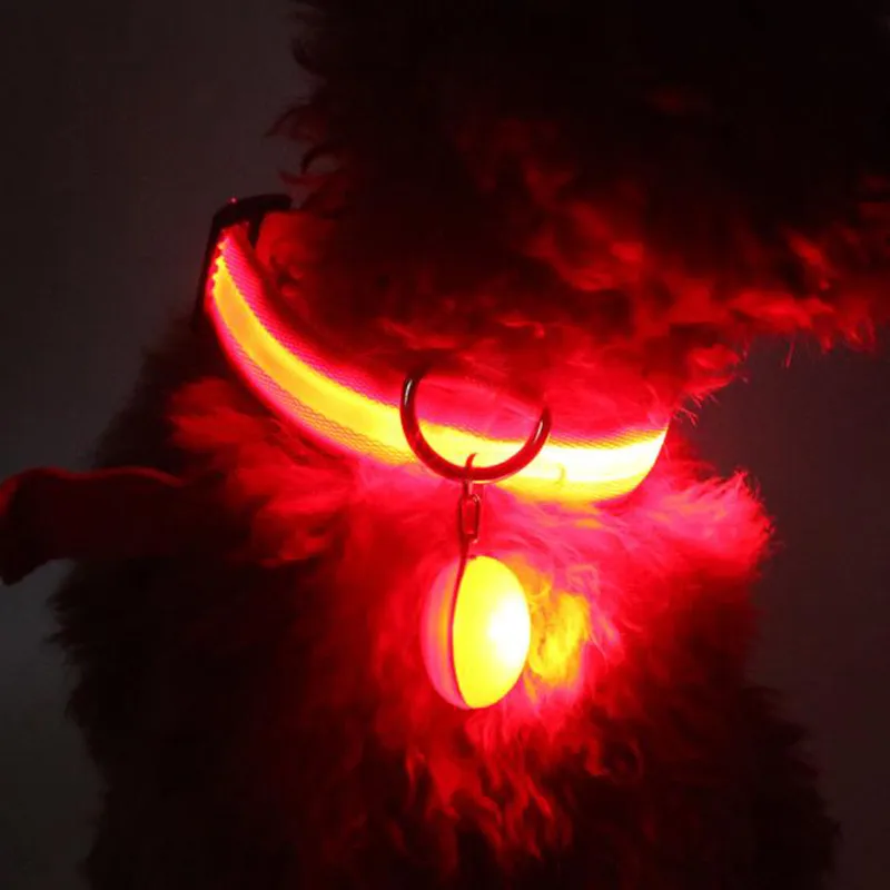 LED Glowing Dog Collar 2