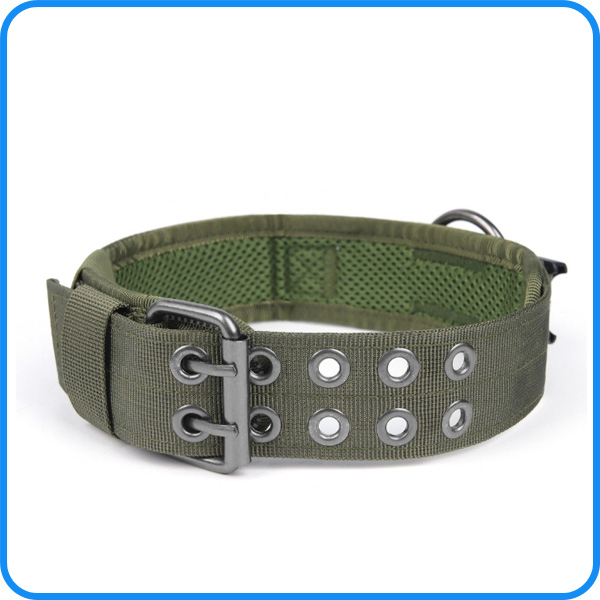 CE Factory Audit Strong Tactical Pet Dog Training Collar