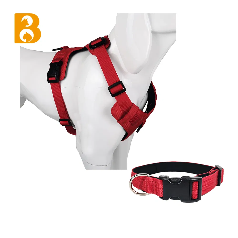 Same Style Nylon Air Light Dog Harness Collar and Leash for Training Pet Dog Harness Leads