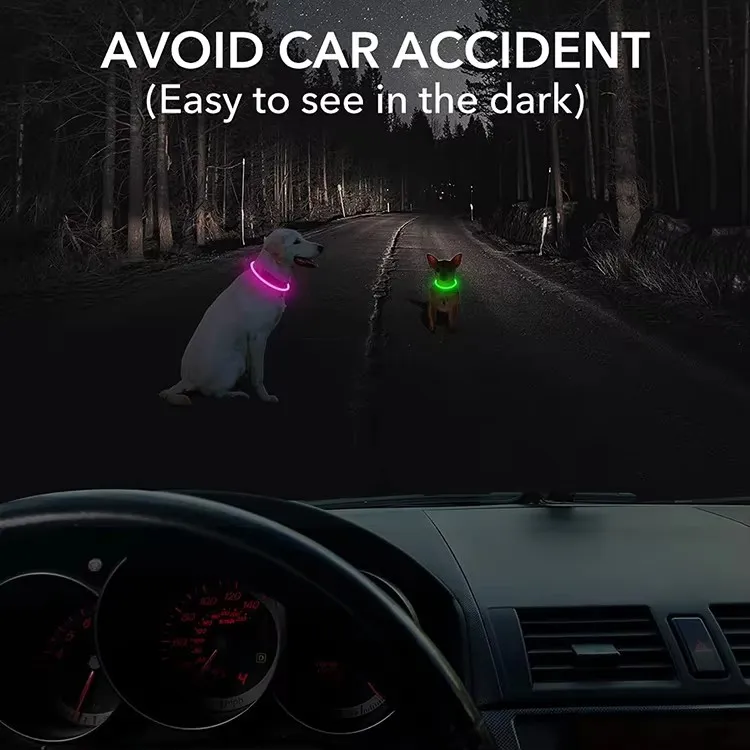 LED Collar Waterproof Test