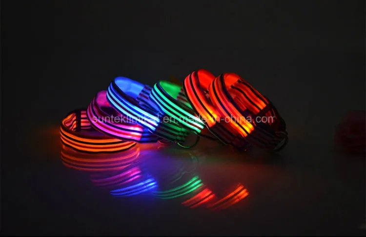 LED Collar 2