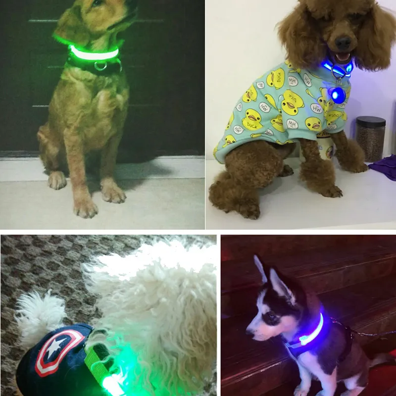 LED Glowing Dog Collar 5