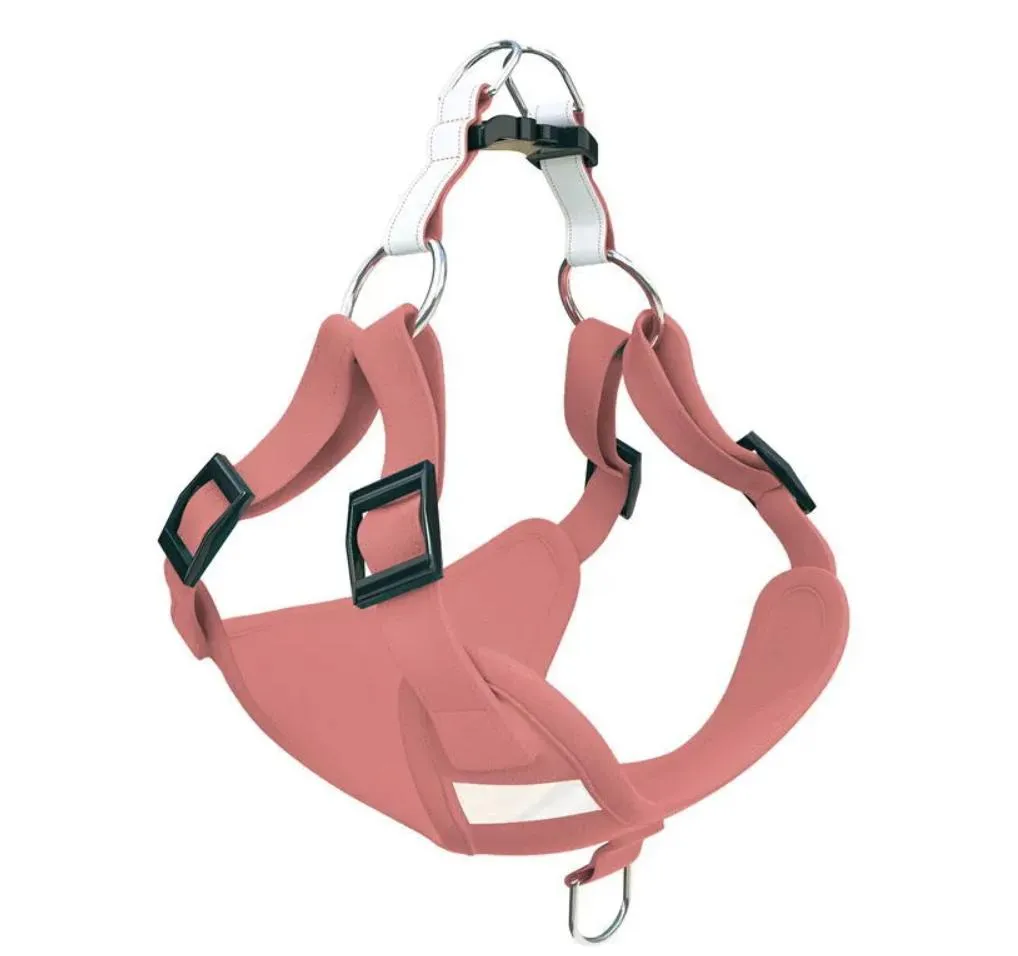 Pet Harness Showcase 8