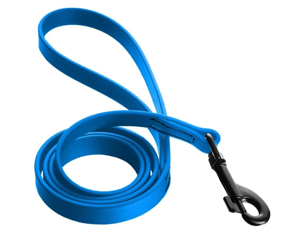 Dog Leash Detail 2