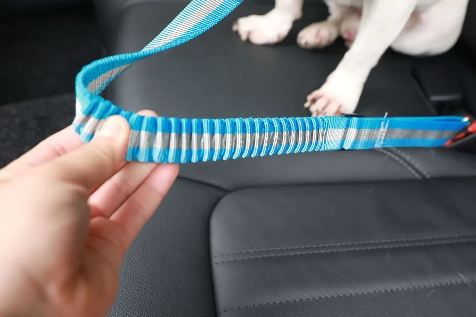 Pet Seat Belt Detail 4