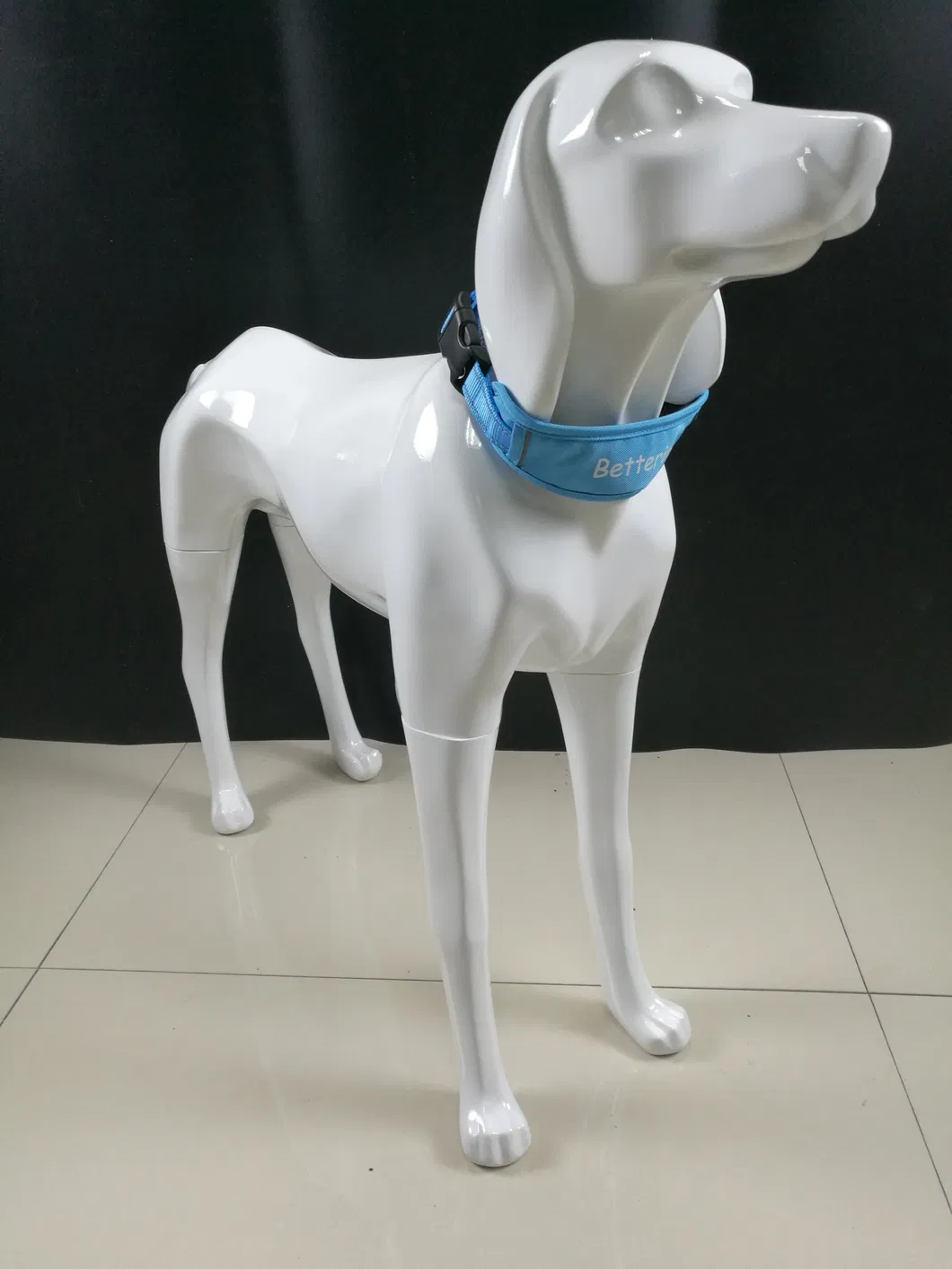 Pet Collar Full View