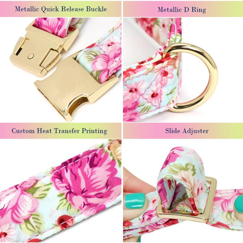 Dog Collar Release Buckle