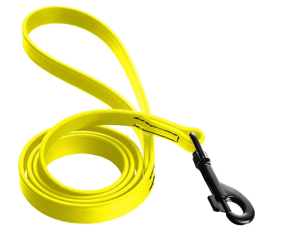 Dog Leash Detail 5