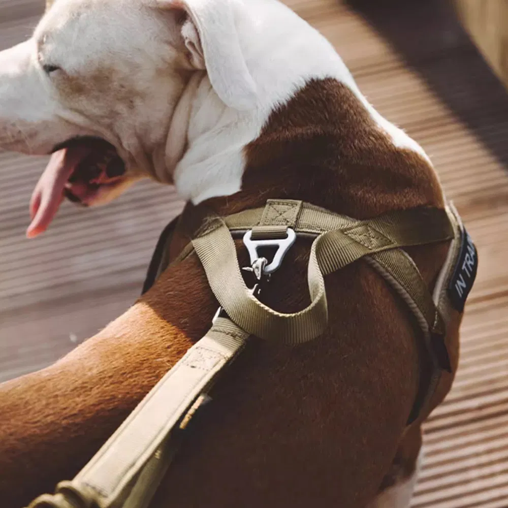Stylish and Customizable Soft Dog Harness with Backpack Set