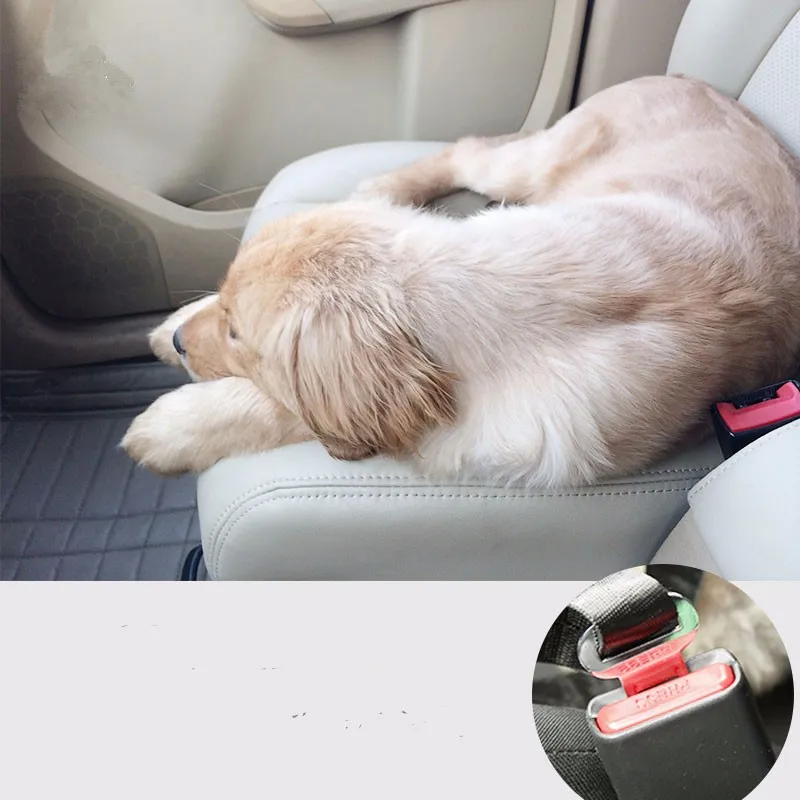Pet Seat Belt 10