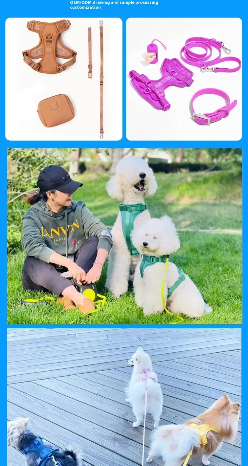 Cat Collar Feature 3