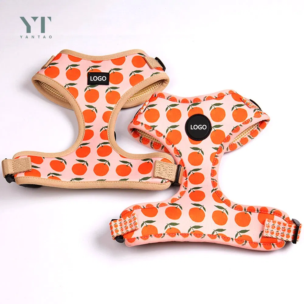 Designer Custom Fashion Eco Friendly Soft Comfortable Neoprene Fruits Print Backpack Adjustable Pet Dog Harness for Dogs