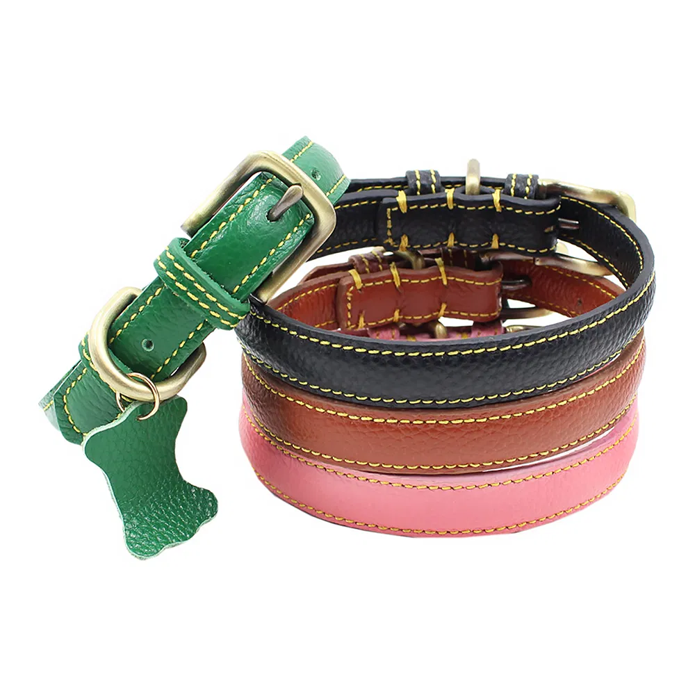 Training Collar Detail 2