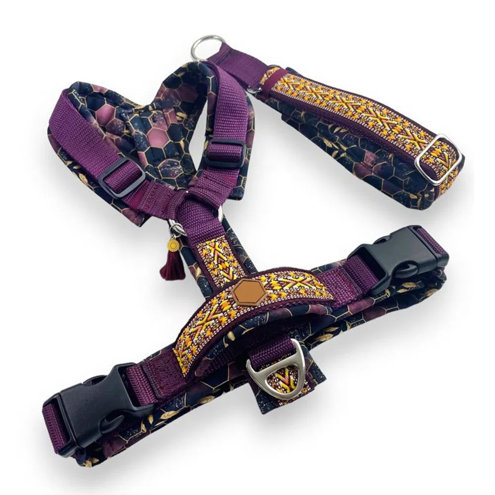 Dog Harness Photo 3