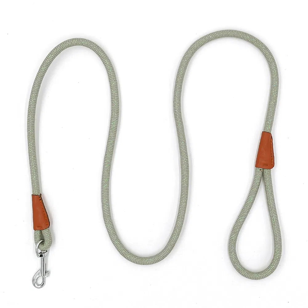 Comfortable Smooth Lightweight Pet Leash for Pet Training