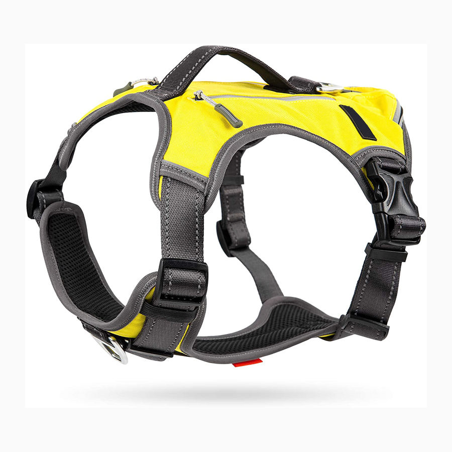 Multi-Functional No-Pull Pet Vest Harness with Saddle Bags Backpack Leash