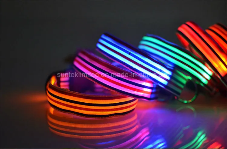 LED Collar 1