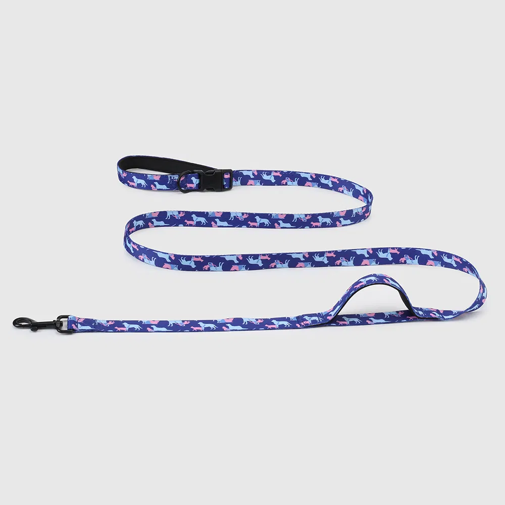 Custom Dog Harness Combine with Collar Bandanas Leash and Poop Bag Holder Designer Pattern Printed Pet Walking Vest Harness Set Luxury Band Pet Harness