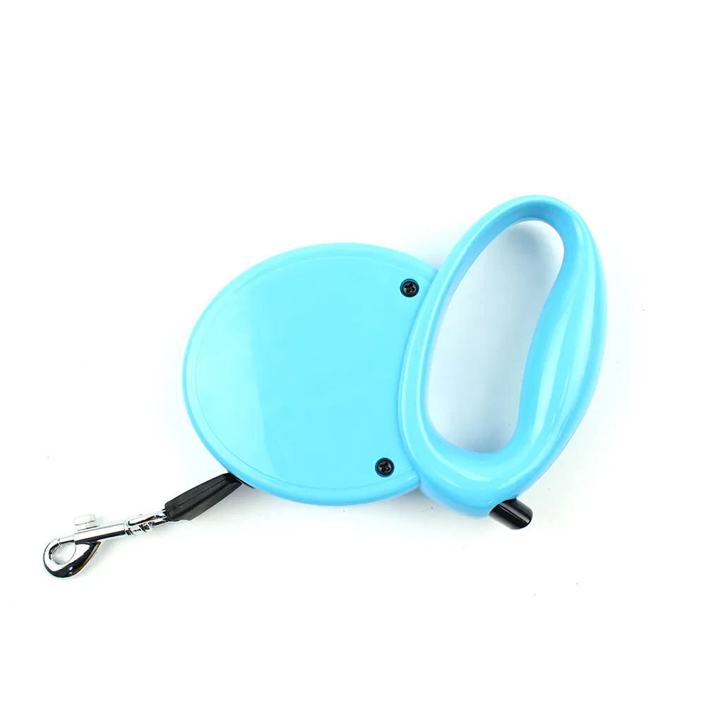 Pet Dog Leash Display