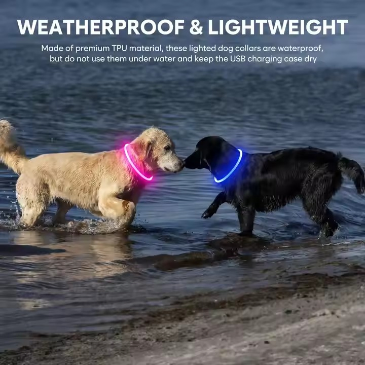 Custom USB Charging Pet Safety Light Silicone Waterproof LED Dog Collar (CFPTS24001)