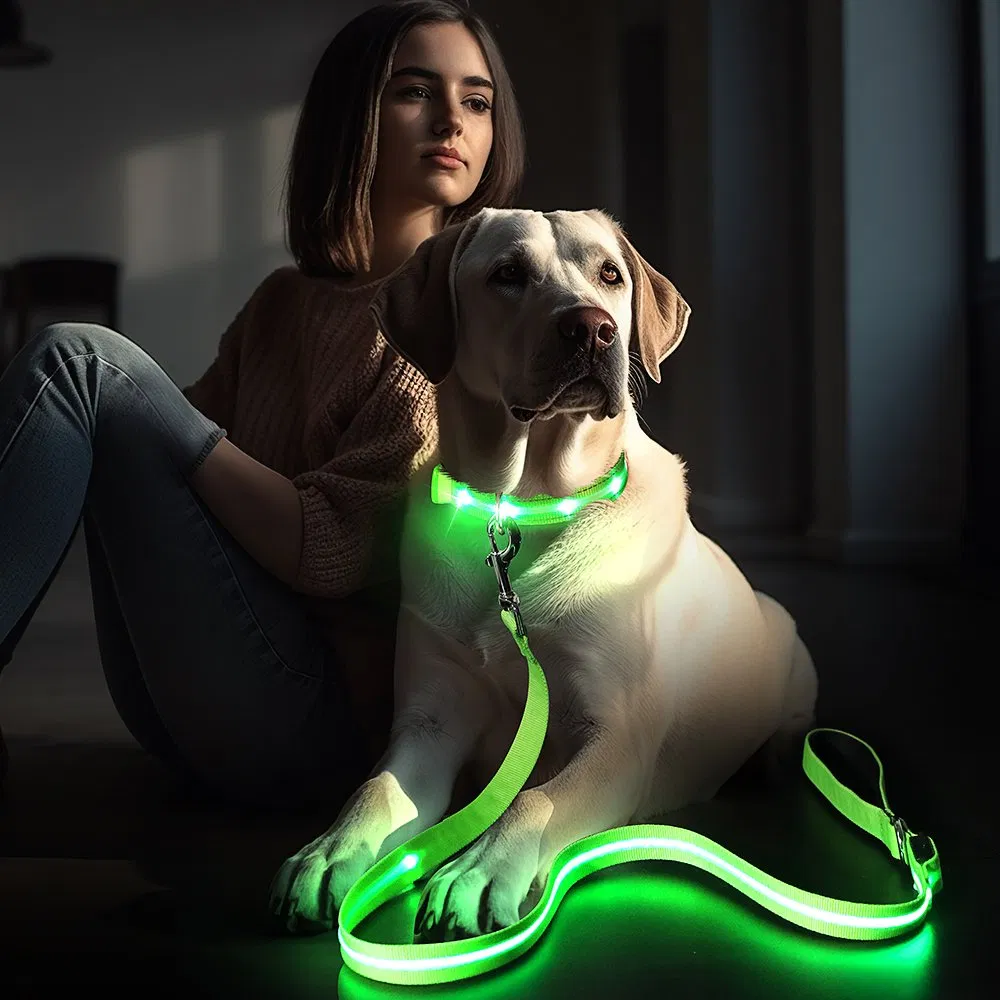 Factory Wholesale LED Light up Pet Accessories Leash Flashing Dog Rope Leash Rechargeable Adjustable Luminous Dog Leash
