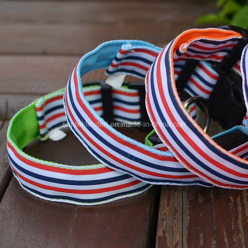 Adjustable LED Flashing Safety USB Rechargeable Colorful Pet Dog Collar with Leash