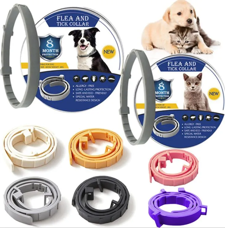 Pet Collar View 1