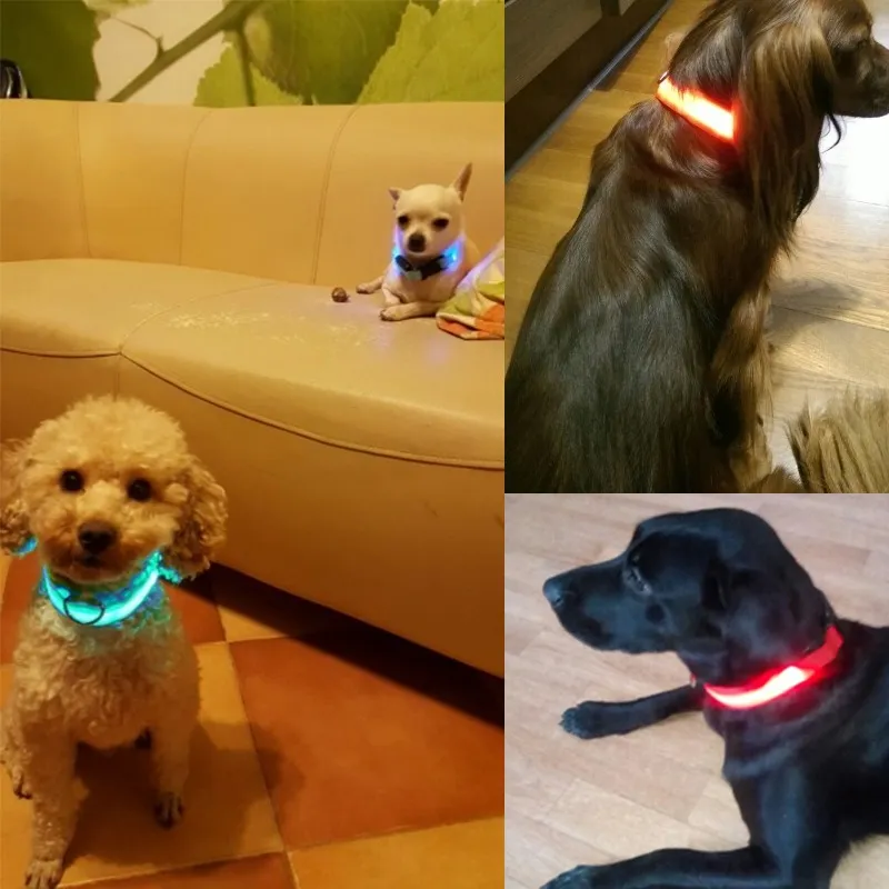 LED Dog Collar View 10