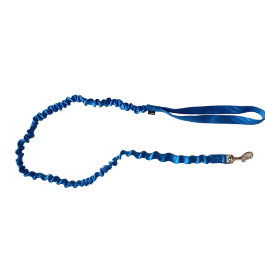 Safety Buckle Adjustable Belt for Case Pet Collar Reflective Nylon Kitten Anti-Lost Collar