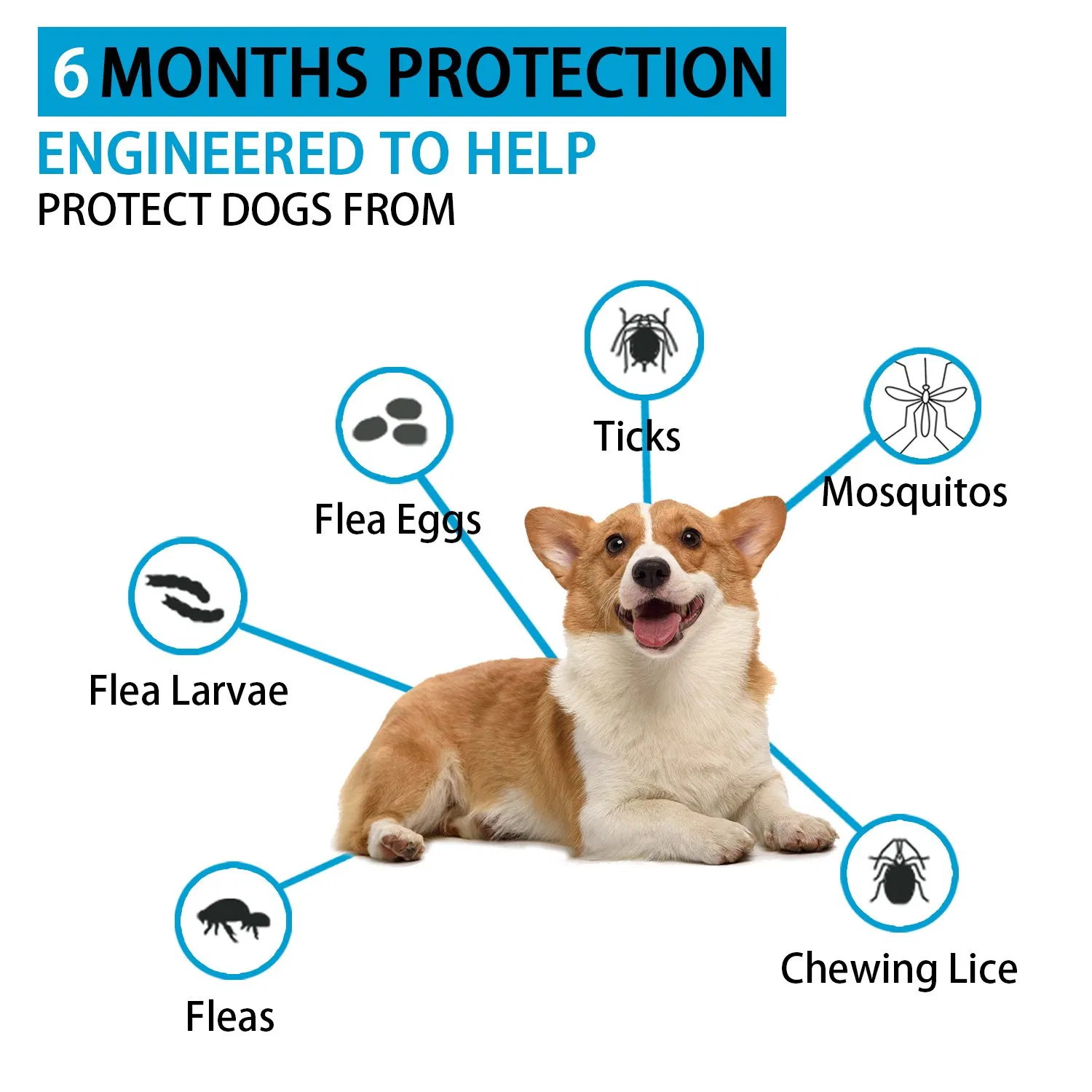 Anti Flea and Tick Extruded Essential Oil Collar 6 Month Protection, Pet Remove One Size Fits All