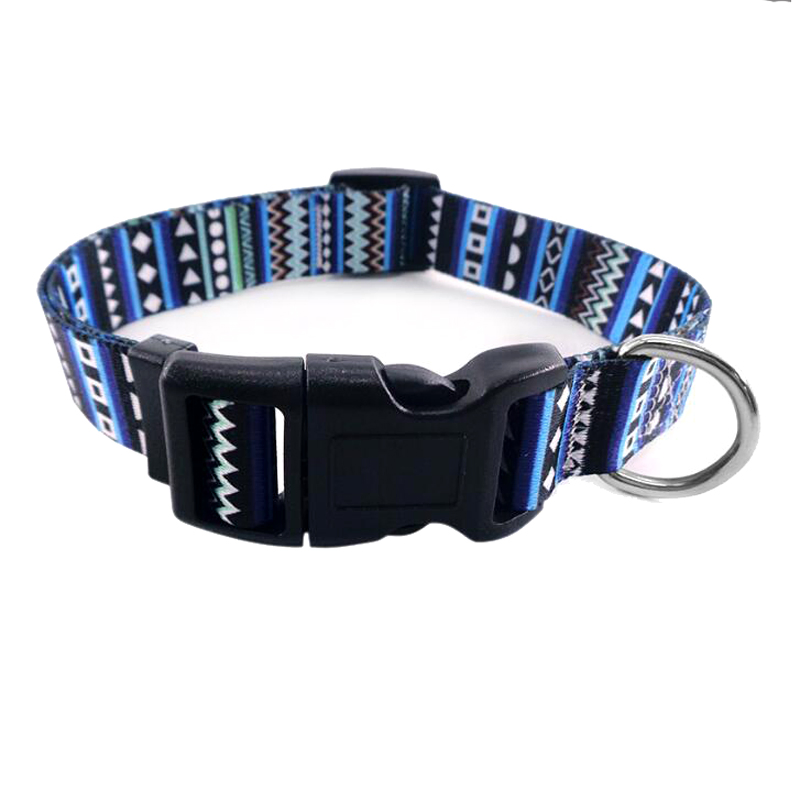 Fashion Custom Pattern Dog Training Pet Martingale Collar