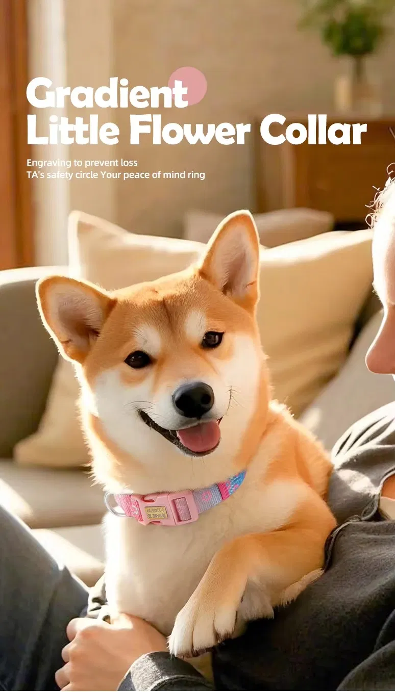 Pet Collar Description 1