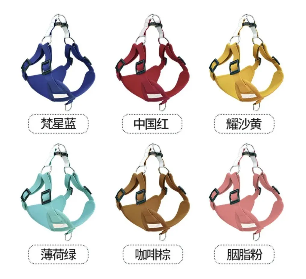 Pet Harness Showcase 1