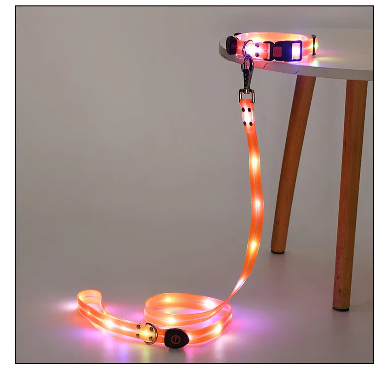 LED Pet Collar 6