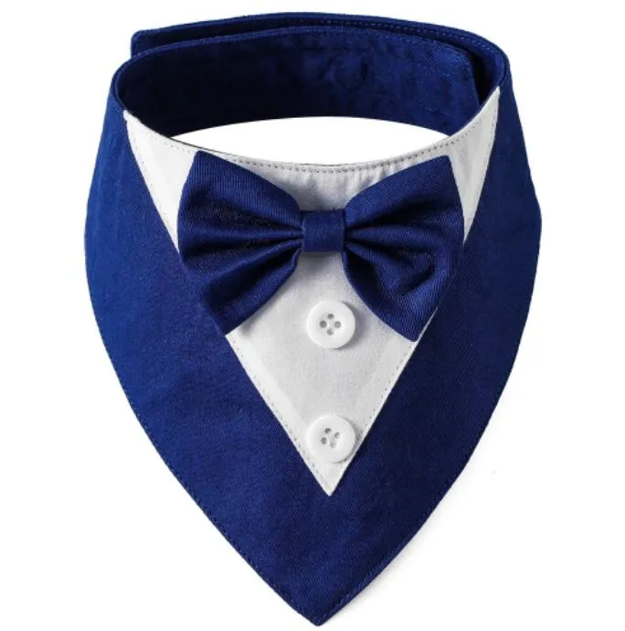 Pet Accessory Detail 7