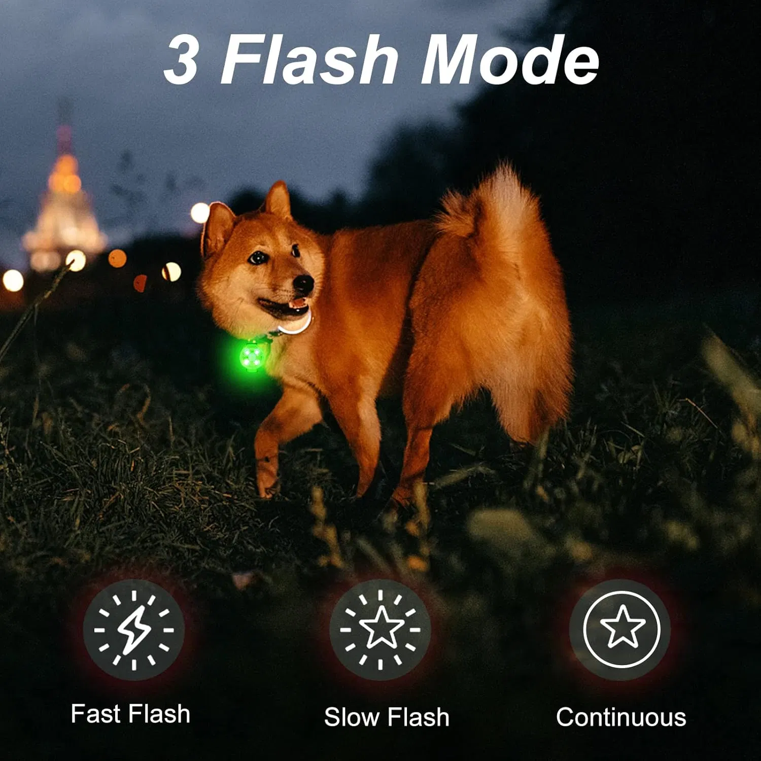 Custom USB Rechargeable LED Dog Collar Lights Waterproof Pet Cat Light Pendant