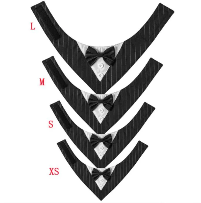 Pet Accessory Detail 5