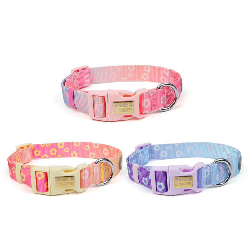 New Dopamine-Inspired Colour-Block Nylon Soft Pet Collar Printed Engraving Reflective Anti-Lost Feature for Medium Large Dog