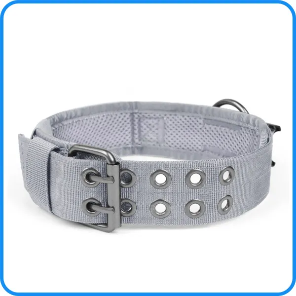 Dog Training Collar