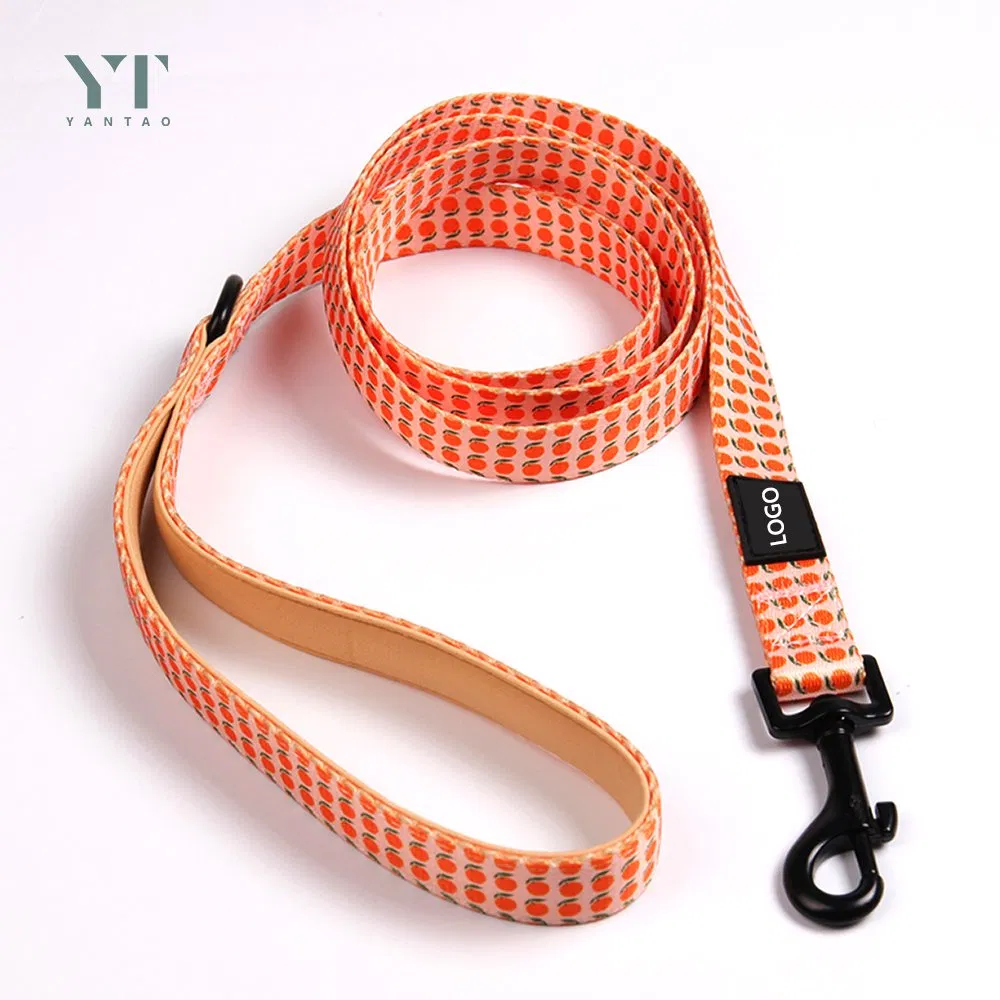 Designer Custom Fashion Eco Friendly Soft Comfortable Neoprene Fruits Print Backpack Adjustable Pet Dog Harness for Dogs