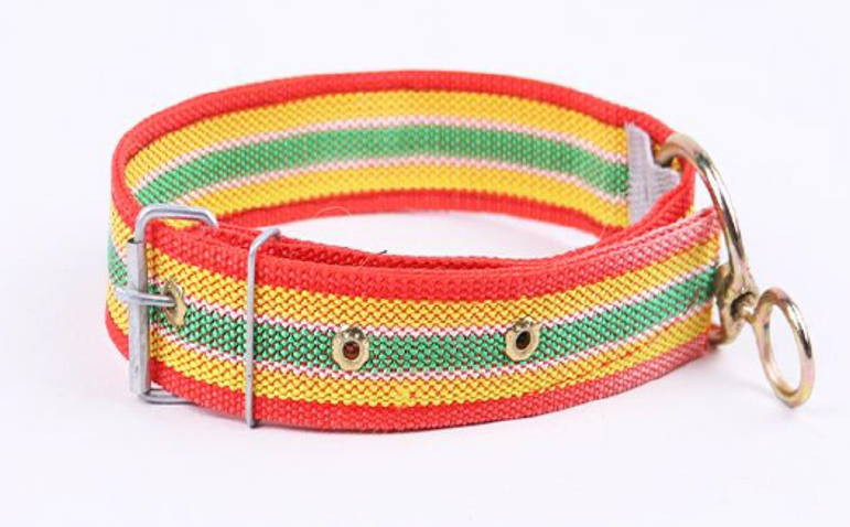 Pet Collar for Small Medium Large Dogs Adjustable Wholesale Supply