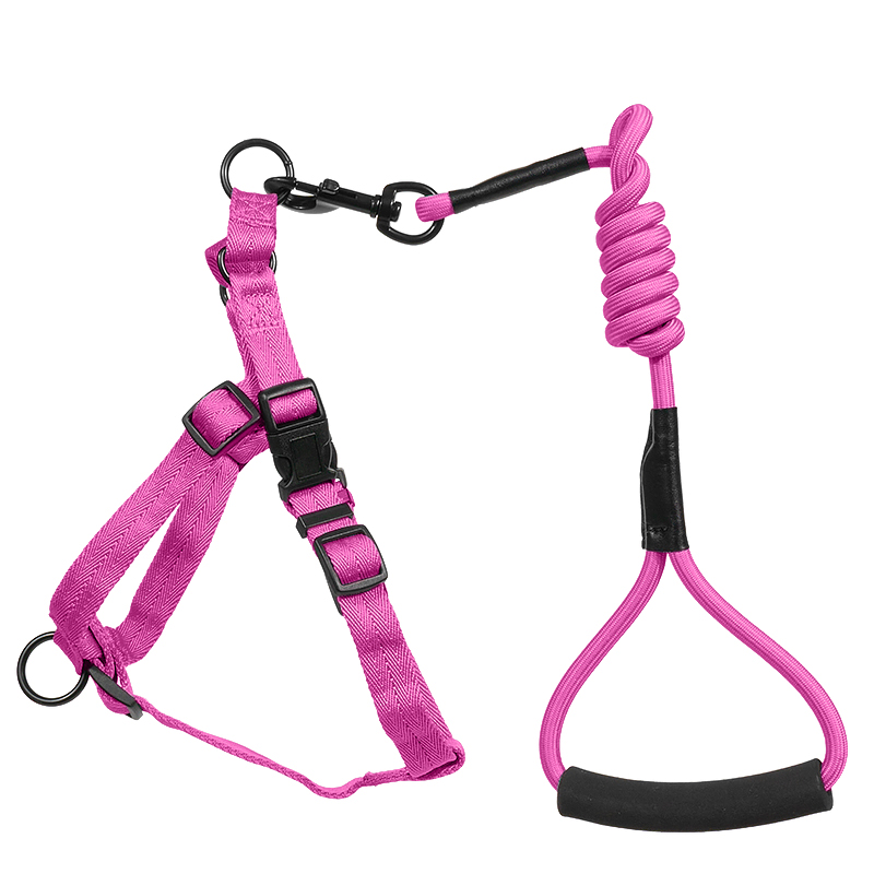 Manufacturers Wholesale Custom Pet Nylon Webbing Adjustable Metal Chain Small Nylon Backpack Dog Harness Set