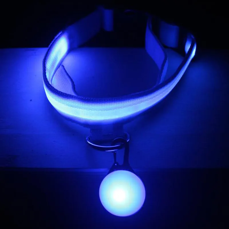 LED Glowing Dog Collar 3