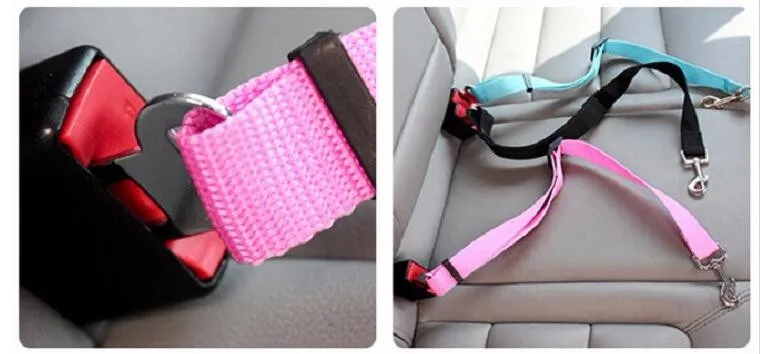 Pet Seat Belt 7